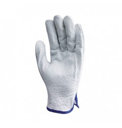 Gants de maîtrise en cuir fleur standard